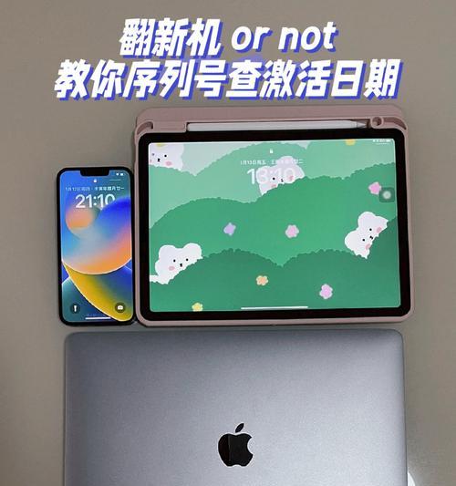 问道序列号怎么查真伪查询？如何验证序列号的真伪？