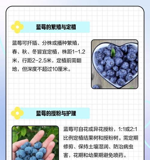 部落冲突小蓝莓的正确使用方法是什么？小蓝莓有哪些用途？