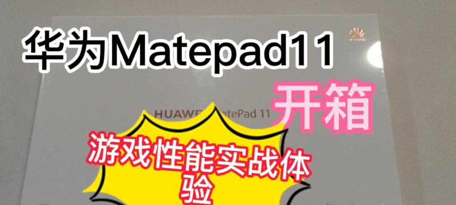 《无主之地》游戏开箱暨多人连线上手攻略（开箱新游、多人连线畅玩）