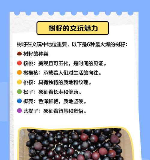 树屋种子获取方法是什么？种子的特殊属性有哪些？