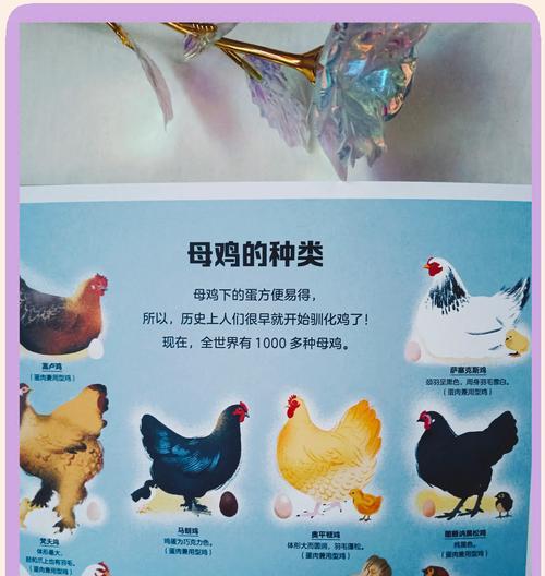 我的世界中如何让鸡变色？变色鸡的制作方法是什么？