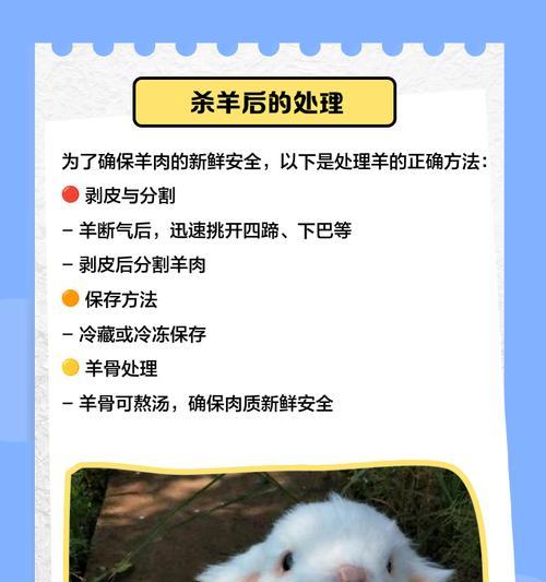 我的世界中杀羊的正确方式是什么？有哪些注意事项？
