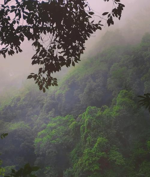 问道美景获取途径有哪些？如何收集美景？