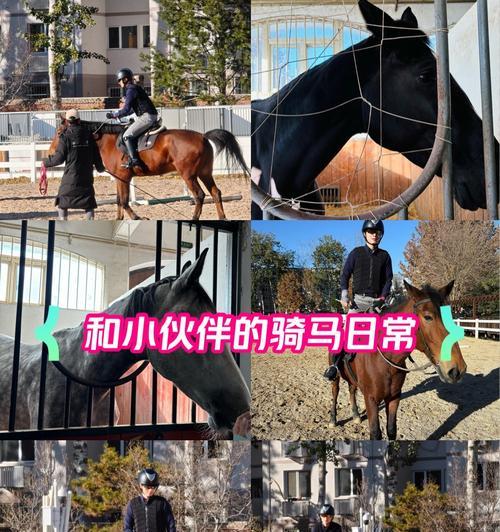 热血游戏中如何骑马？骑马有什么好处？