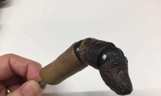 生化危机启示录秘密手形收集攻略（揭秘游戏中隐藏的神秘手形）